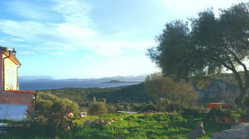 Monolocale In Costa Smeralda