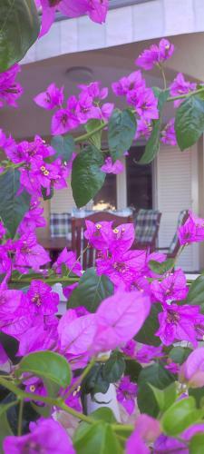 Apartamento Garden