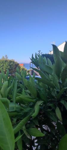 Apartamento Garden