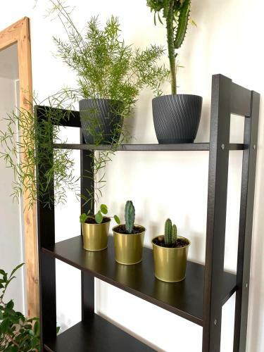 Pine Two Apartment