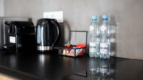 Studio Apartament B?dzin