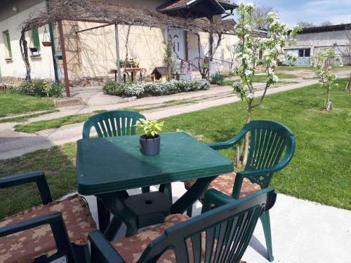 Apartman Dunja Banja Vrdnik