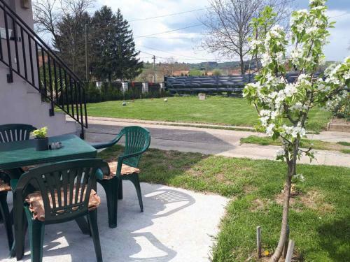 Apartman Dunja Banja Vrdnik