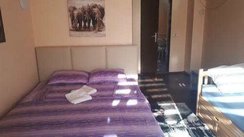 Apartman Dunja Banja Vrdnik