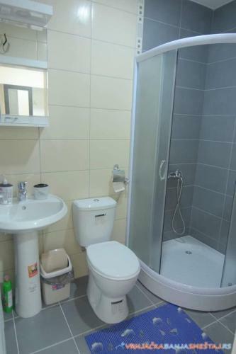 Apartman Gajic Vrnjacka Banja