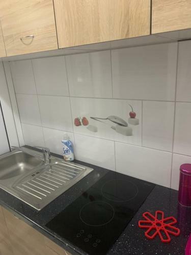 Hostal Vesna Apartments