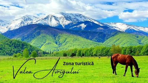 Apartamento Casa Edu