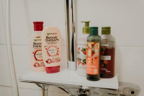 Apartm�n V Jungovom Dome