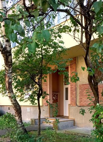Apartament 28