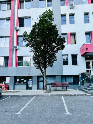 Apartamento City Nest Maria