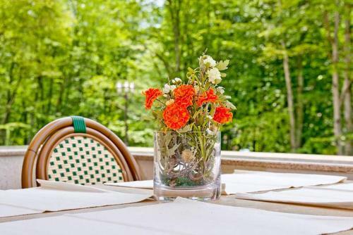 Hostal Pensiunea Iulia Star