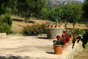 Apartamento Agroturismo Son Not