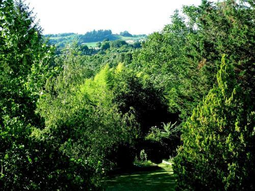 Apartamento La Francigena