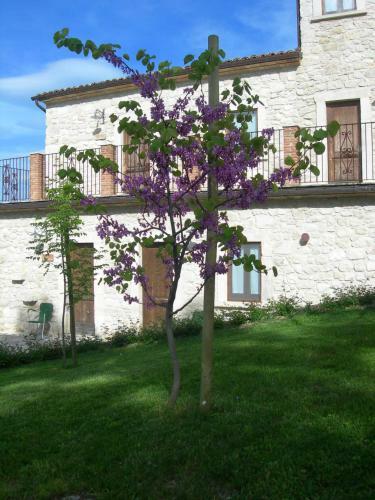 Agroturismo Agriturismo Il Portone