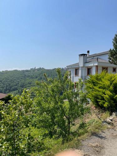 Villa ??????? / ????