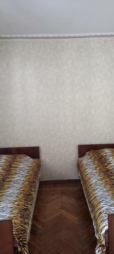 Apartamento 2? ????????? ???????? ?? ??????? ? 100? ?? ????
