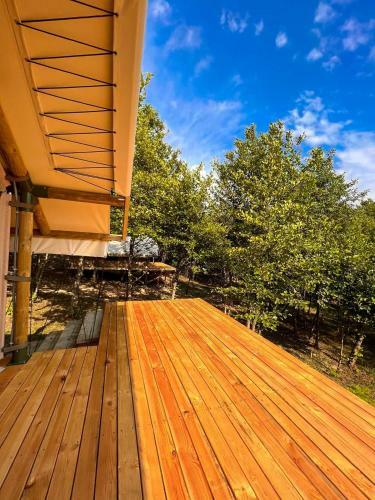 Garuda Glamping Abkhazia