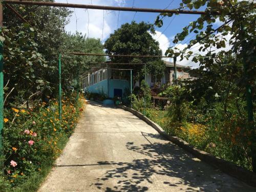 Hostal Guest House Malvina