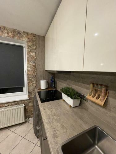 Apartamento Dzivoklis Ar Saunu