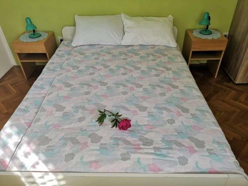 Apartma Flon?na