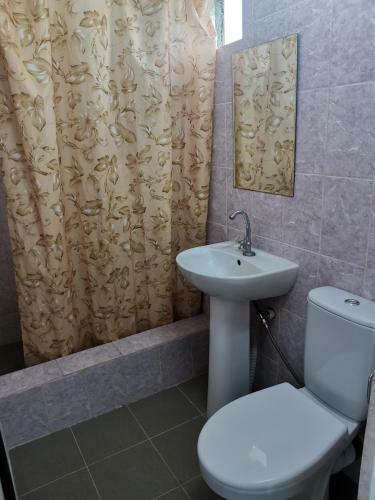 Hostal Armany Guesthouse