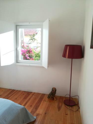 Apartamento Casa Do Cristo Rei