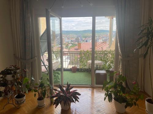 Apartamento Arb�ria Appartment 2