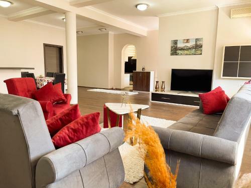 Sunny Hill Apartment