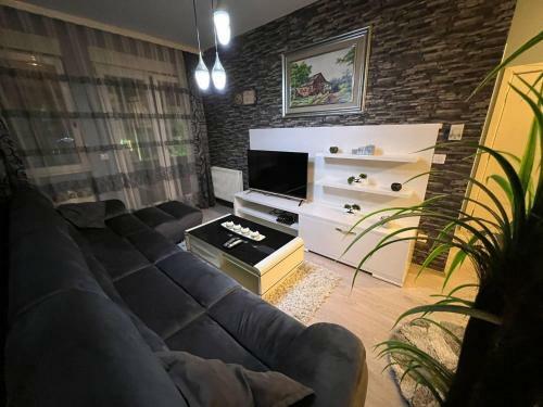 Luxurious Apartment