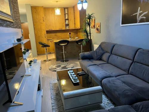 Luxurious Apartment