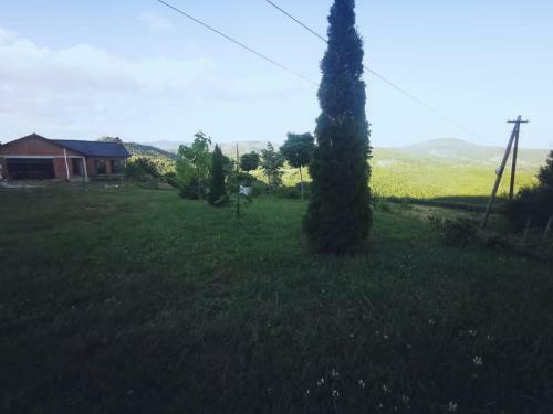 Villa Majdani