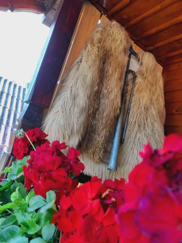Agroturismo Casa de La Ferma Mariuca