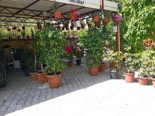 Helal El Diyar Ayranci Village