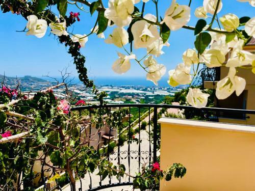 Apartamento Goldcity Penthouse