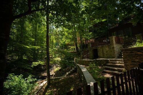 Pine Villas Brezovice