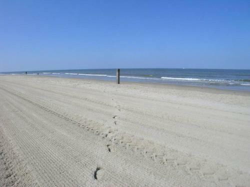 Apartamento Wijde Blick 206 Callantsoog