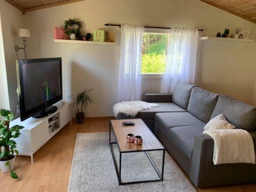Lite Hus, Dalen I Telemark