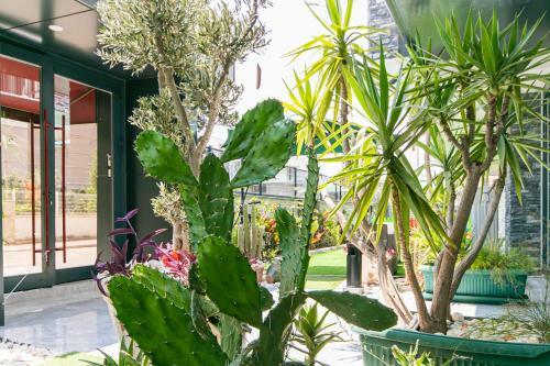 Apartamento Oniks Comfort Suites