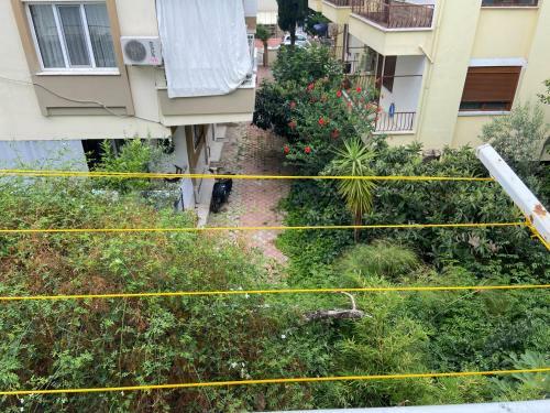 Apartamento ?????????? ???????? ? ???????