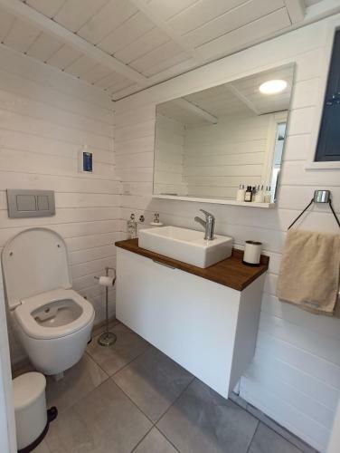 Villa Lemon Tiny House