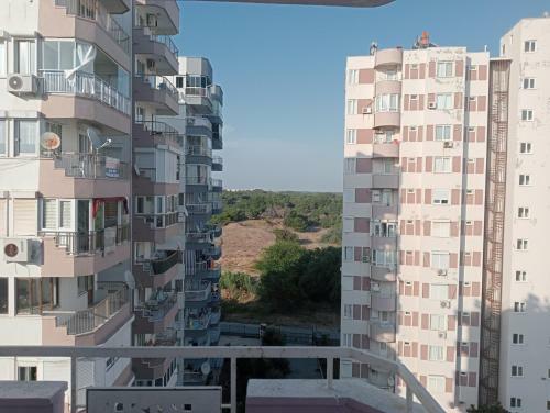 Deniz Kenari Ev