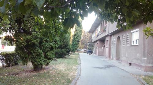 Garden Street Apartment