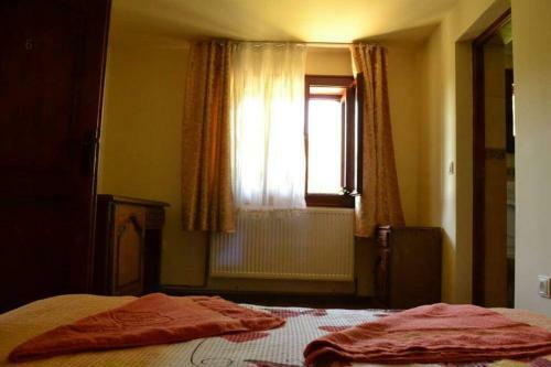 Hostal Casa Din Barsana