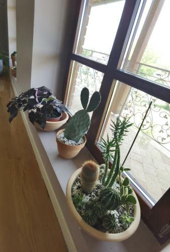 Villa Gio Greenhouse