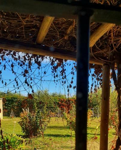 Casa Rural Lupita