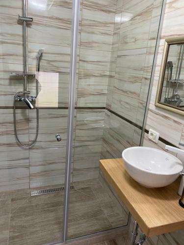 Hostal Pensiunea Casa Zanet