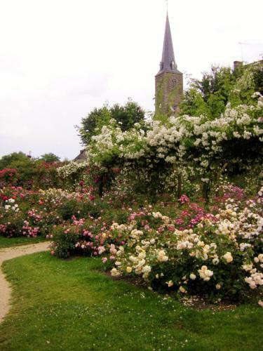 Bed & Breakfast La Cloue