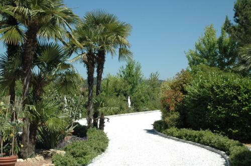 Agroturismo Cevoli Country Resort