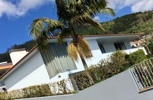 Villa Abrigo Da Madeira