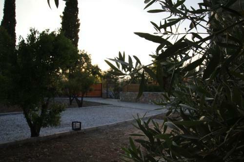 Lodge Podbodrum Tiny House